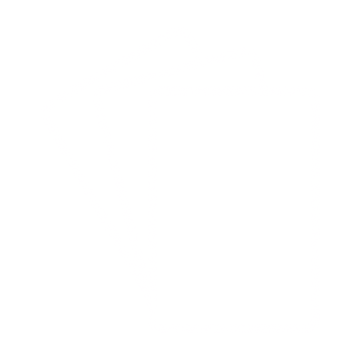 6. Papers